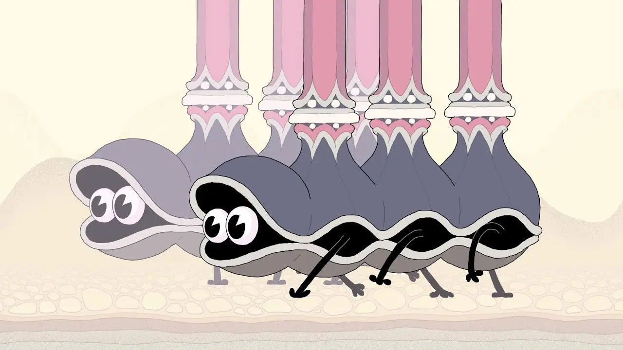 Double King backdrop