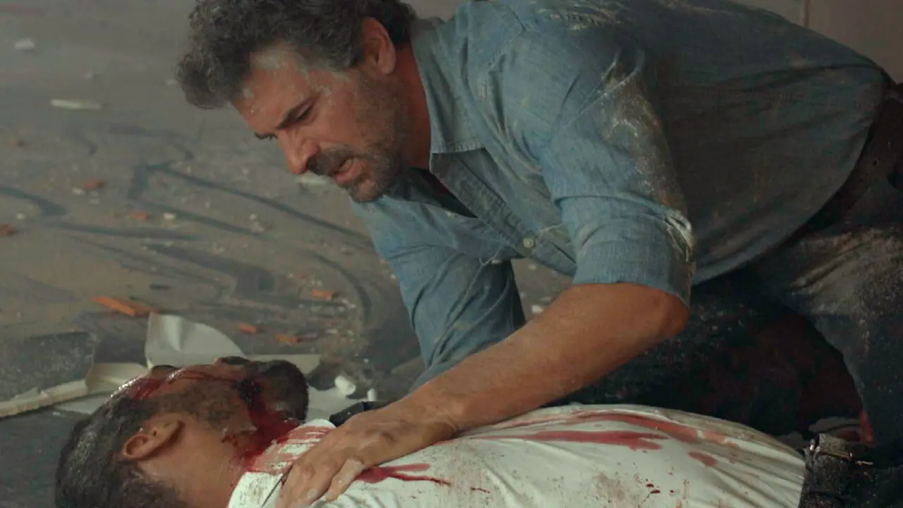 Delfines de plata backdrop