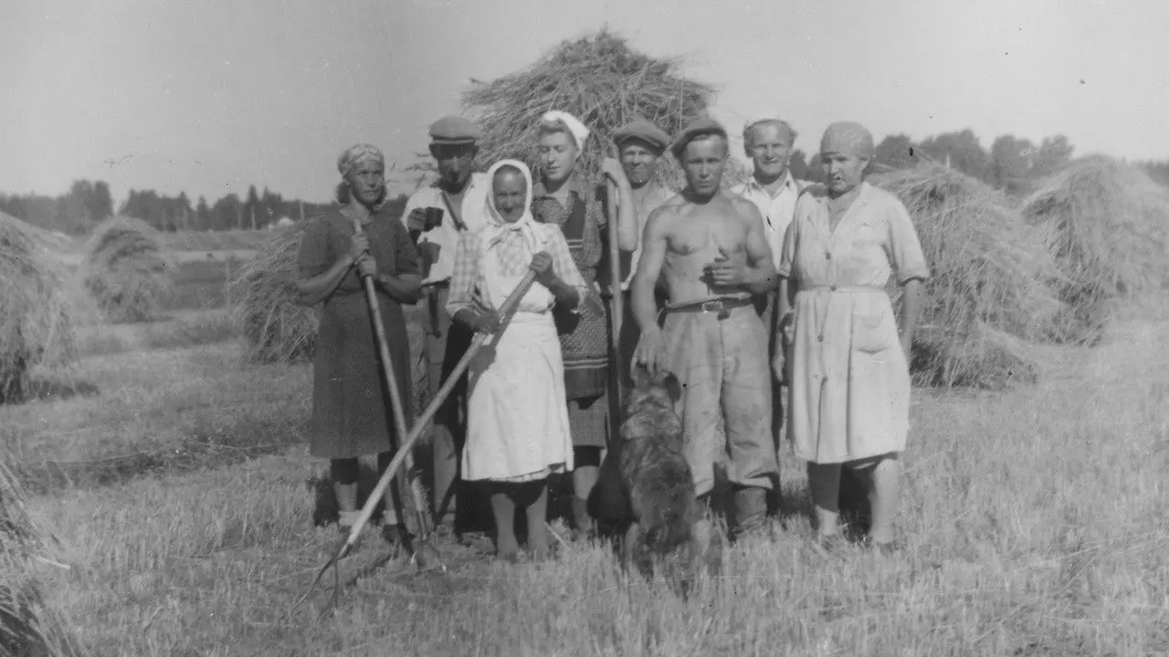 The Unknown Woman backdrop