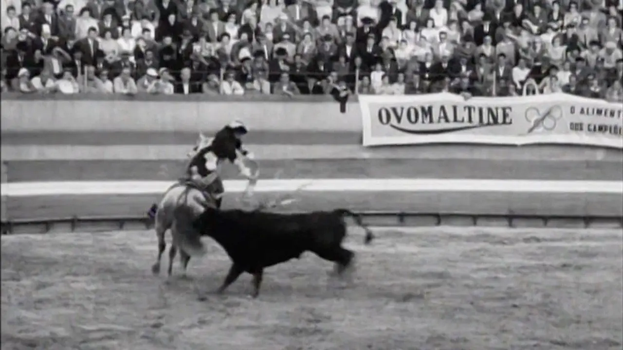 Born to Fight backdrop