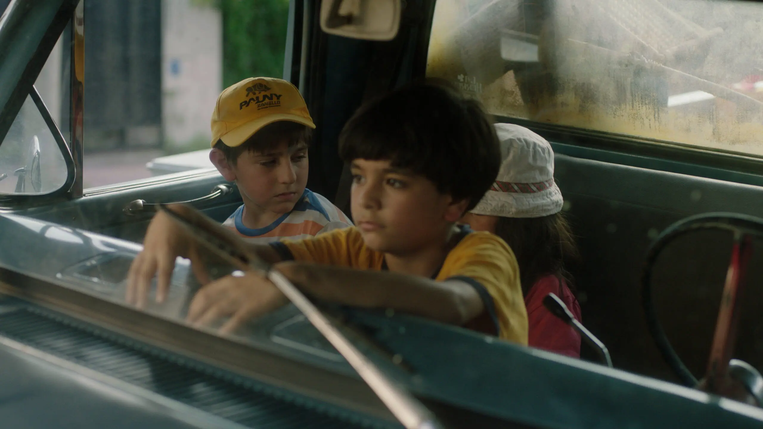 A House with Two Dogs backdrop