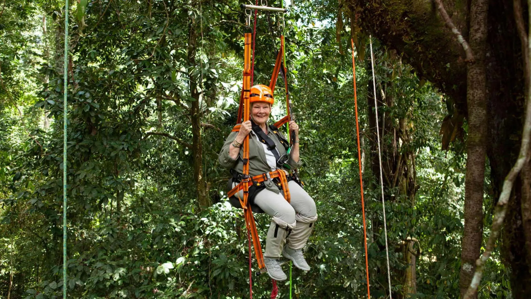 Judi Dench's Wild Borneo Adventure backdrop