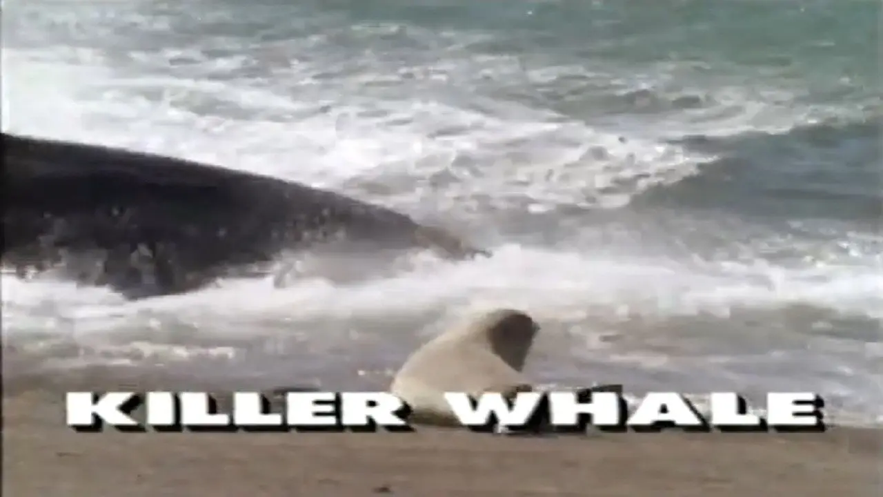Predators of the Wild: Killer Whale backdrop