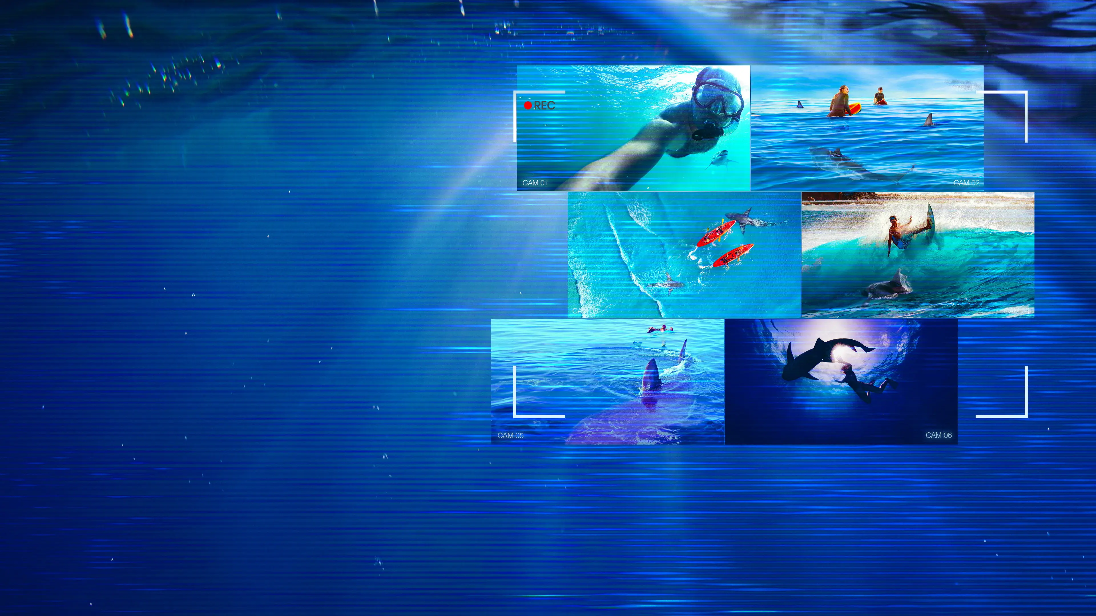 Caught! When Sharks Attack backdrop