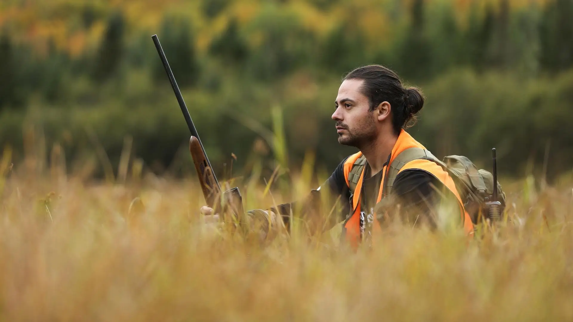 Aoskway, sur les traces de l’orignal backdrop