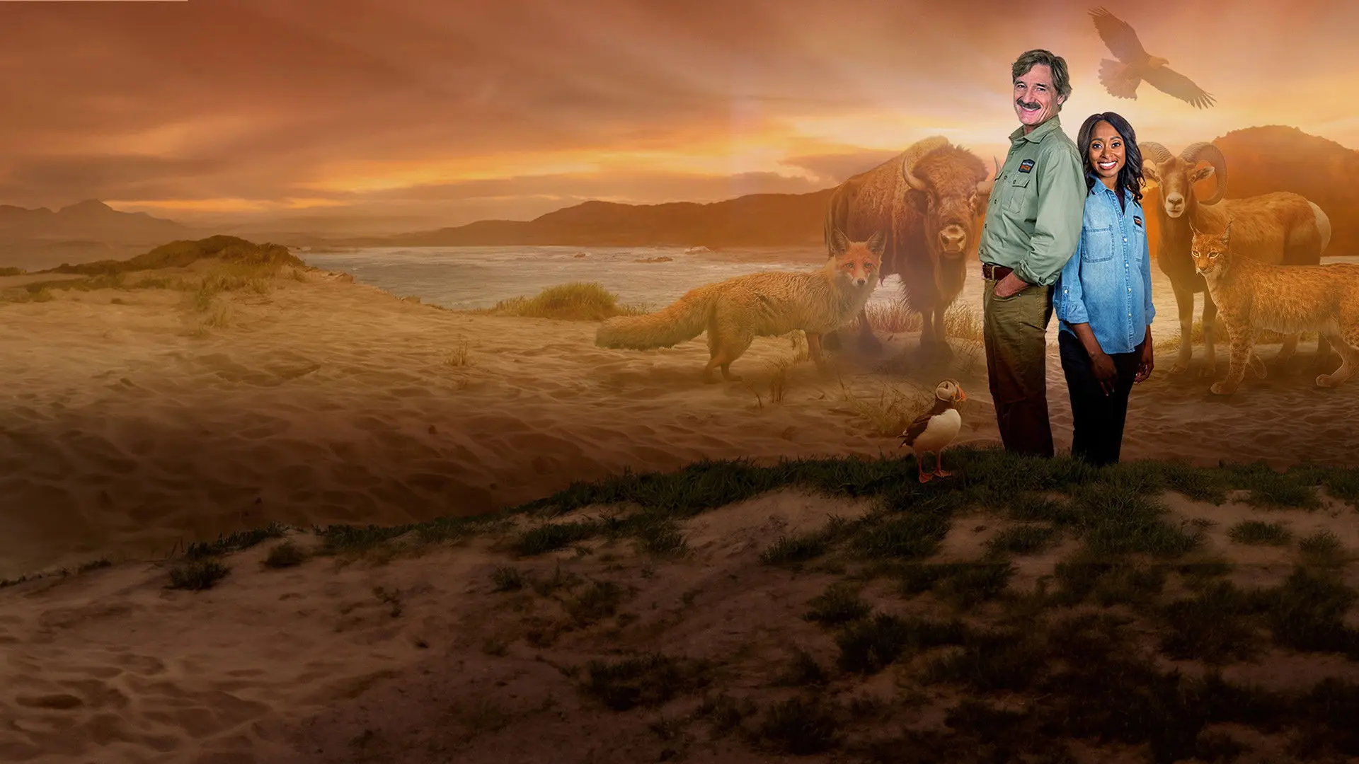 Mutual of Omaha's Wild Kingdom Protecting the Wild backdrop