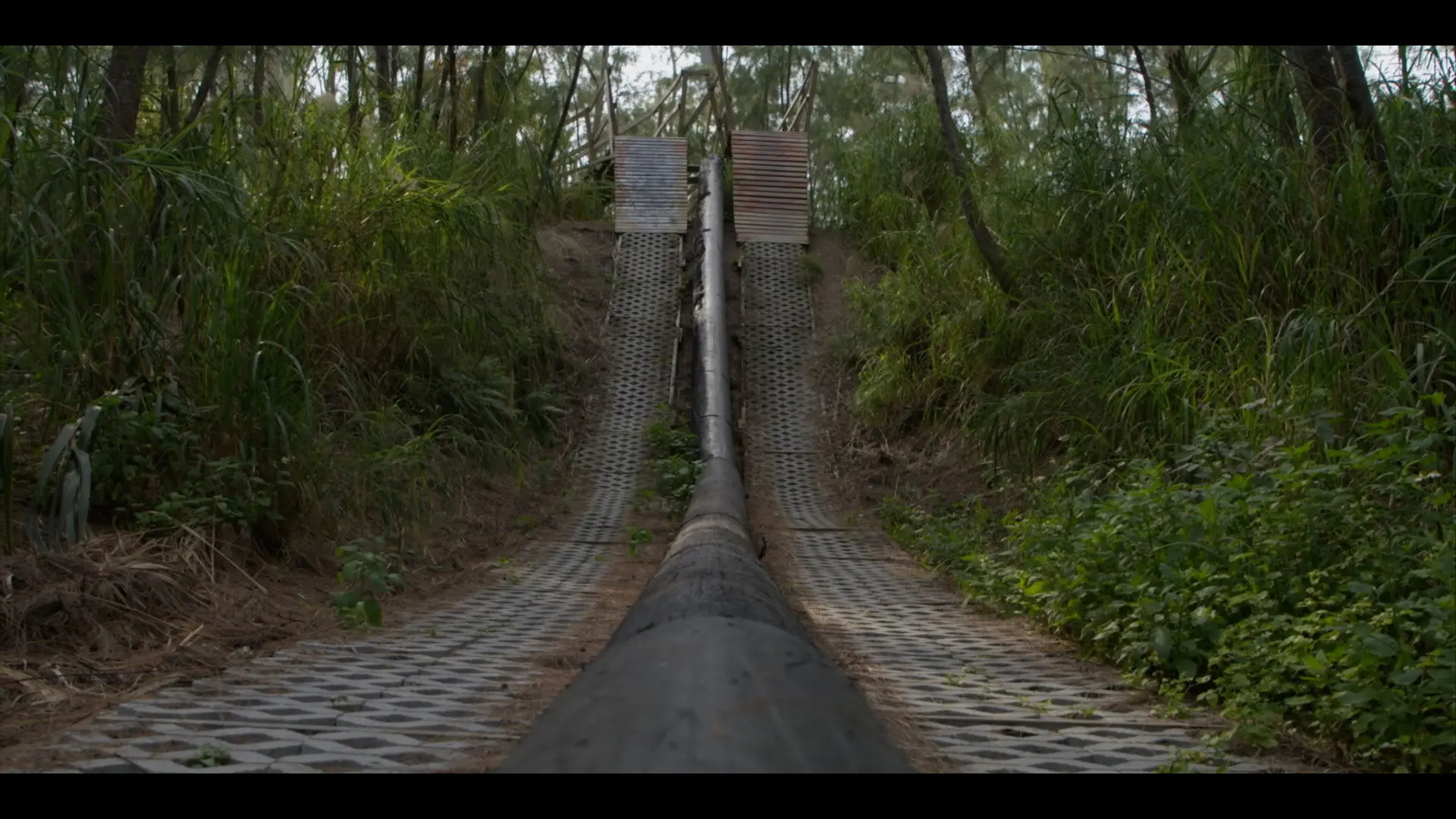 Dirt Therapy backdrop