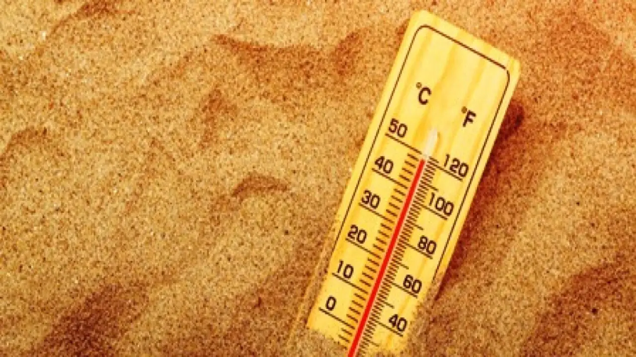 Grosse chaleur backdrop