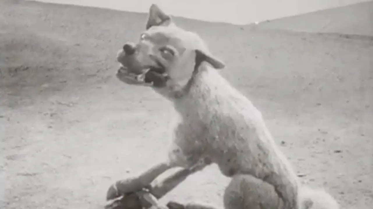 The Wolf and the Crane backdrop