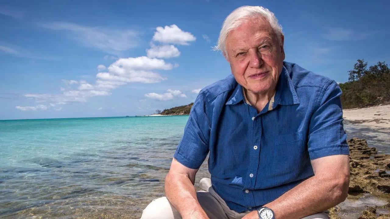 State of the Planet backdrop