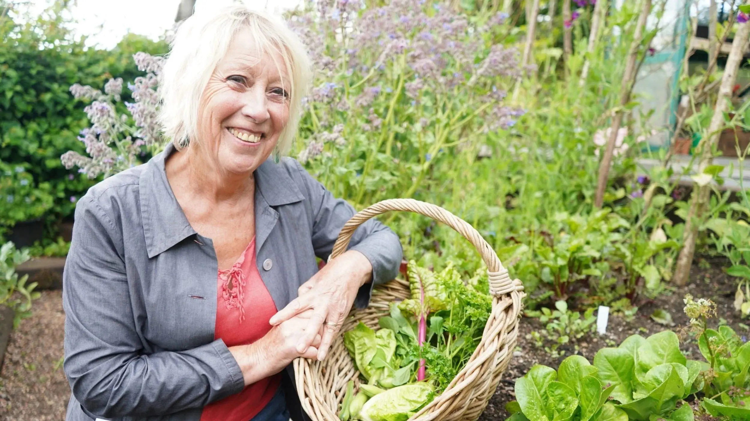 Gardening with Carol Klein backdrop