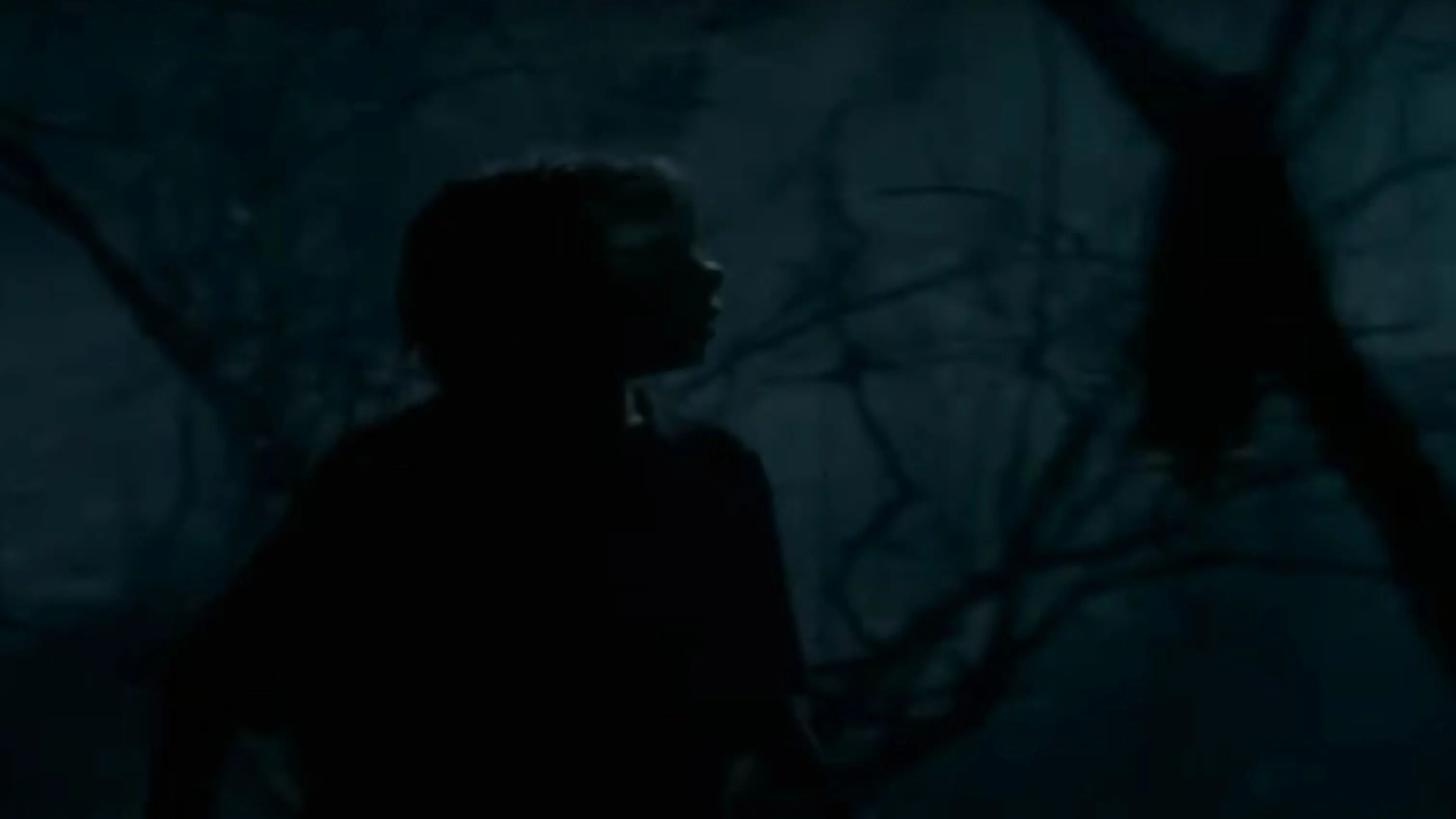 Goosebumps: The Werewolf of Fever Swamp backdrop