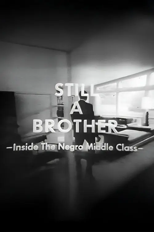 Still A Brother: Inside the Negro Middle Class