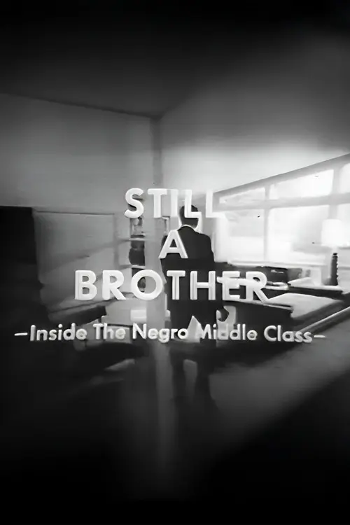 Still A Brother: Inside the Negro Middle Class