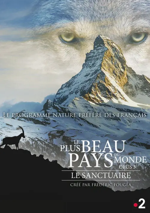 The Sanctuary: Survival Stories of the Alps