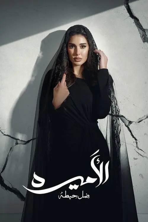 The Princess: Shadow of A Wall