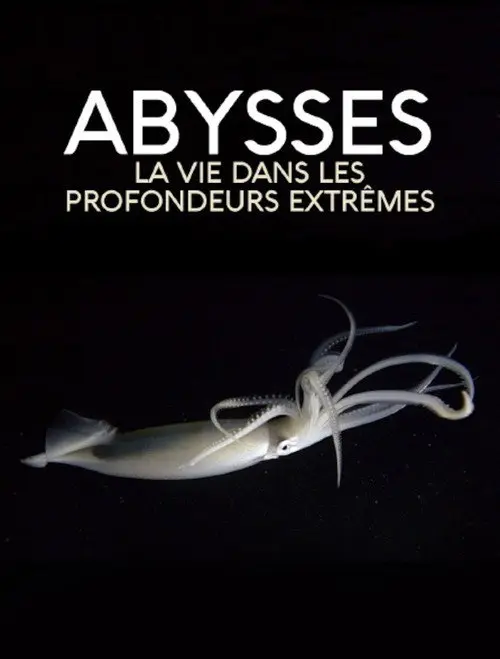 Extreme der Tiefsee - Abysses