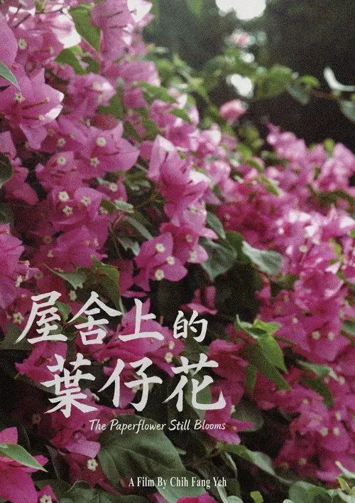 The Paperflower Still Blooms