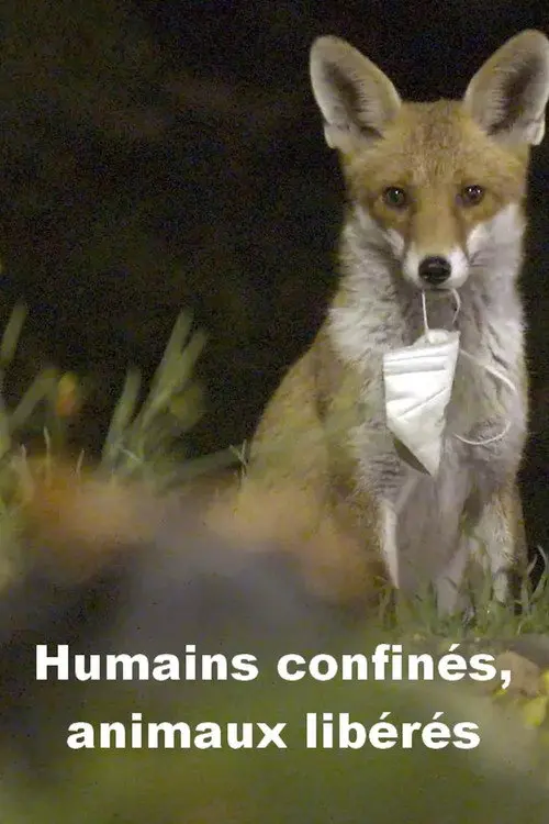 Menschen eingesperrt, Tiere befreit