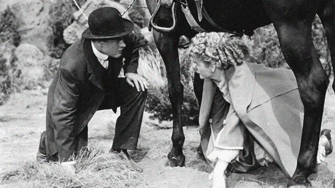 Fancy Pants backdrop