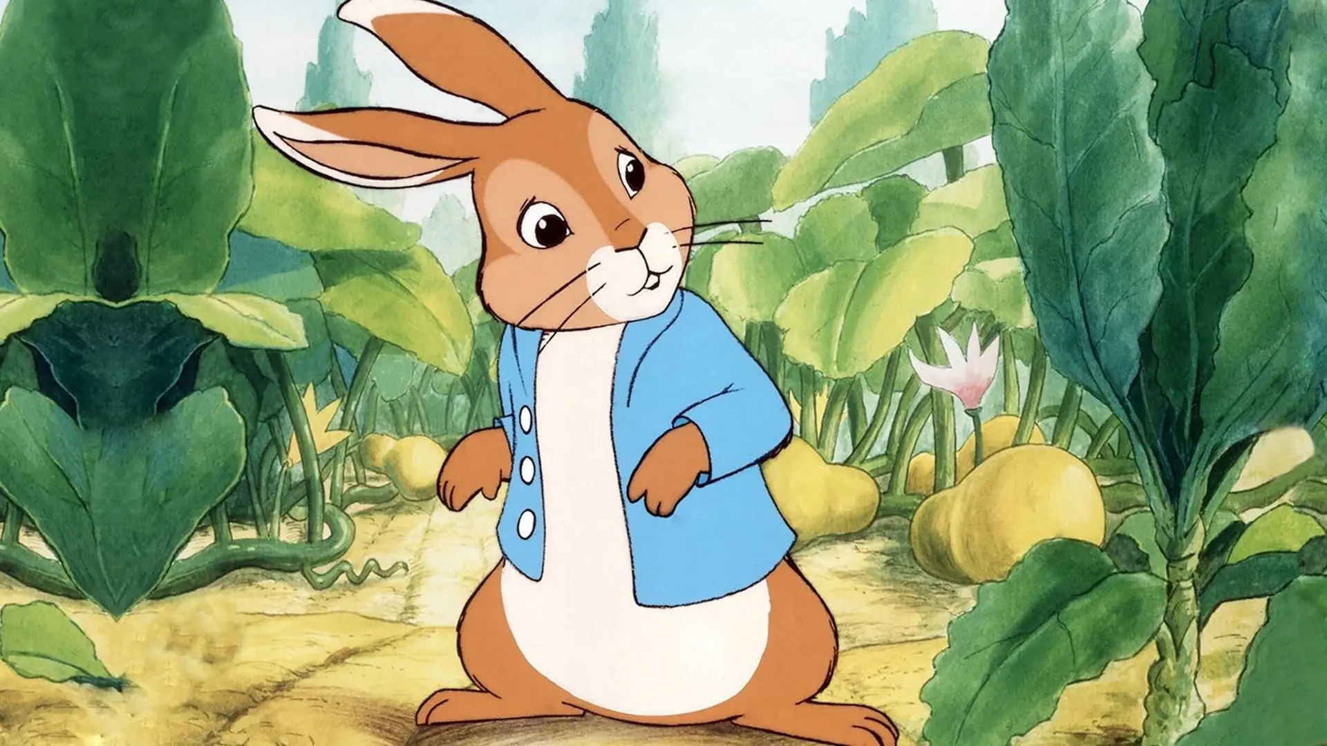 The Tale of Peter Rabbit backdrop
