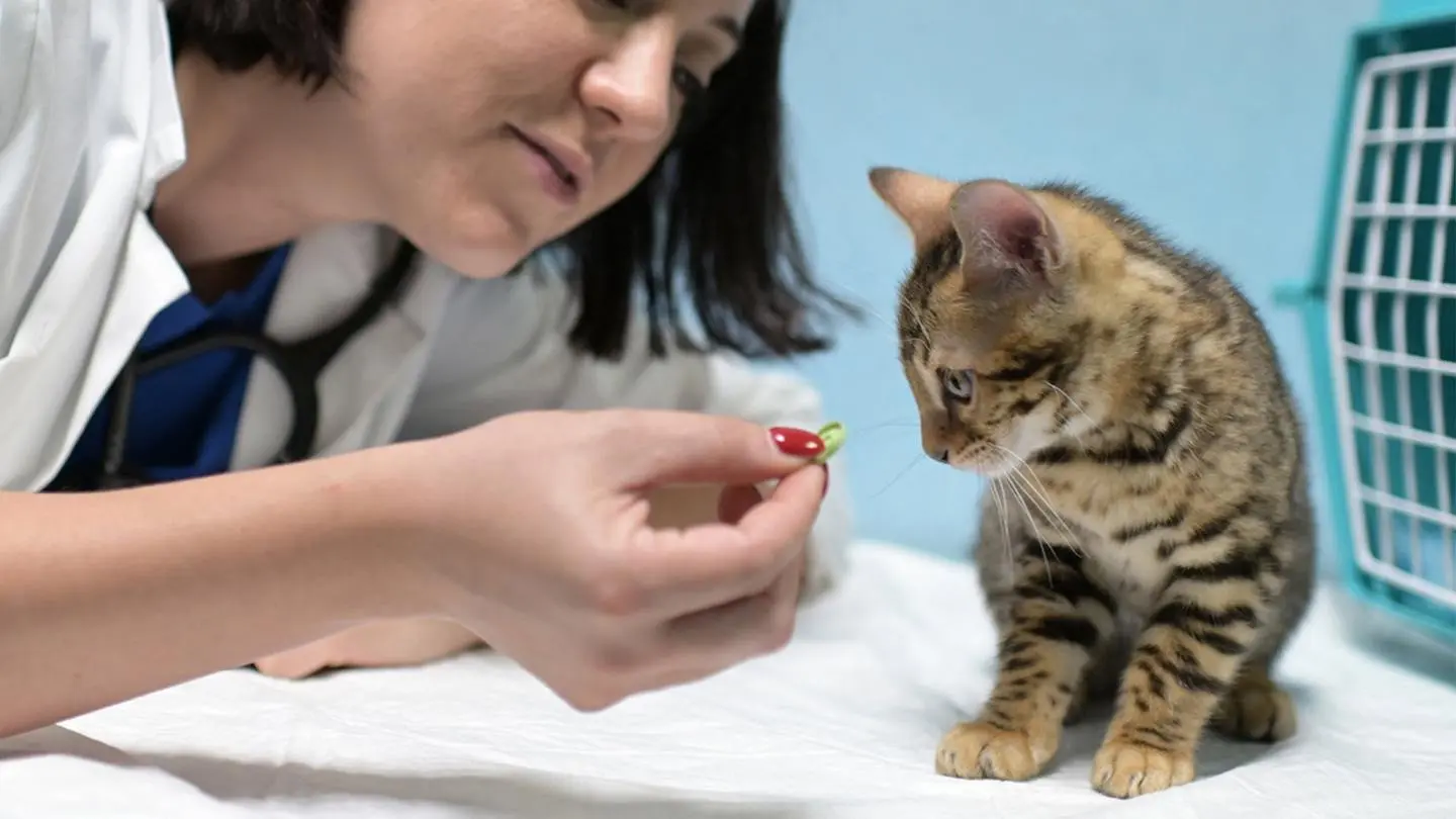 That's Amore backdrop