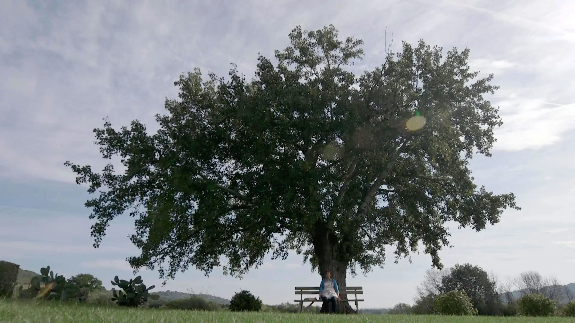 Homemade For You backdrop
