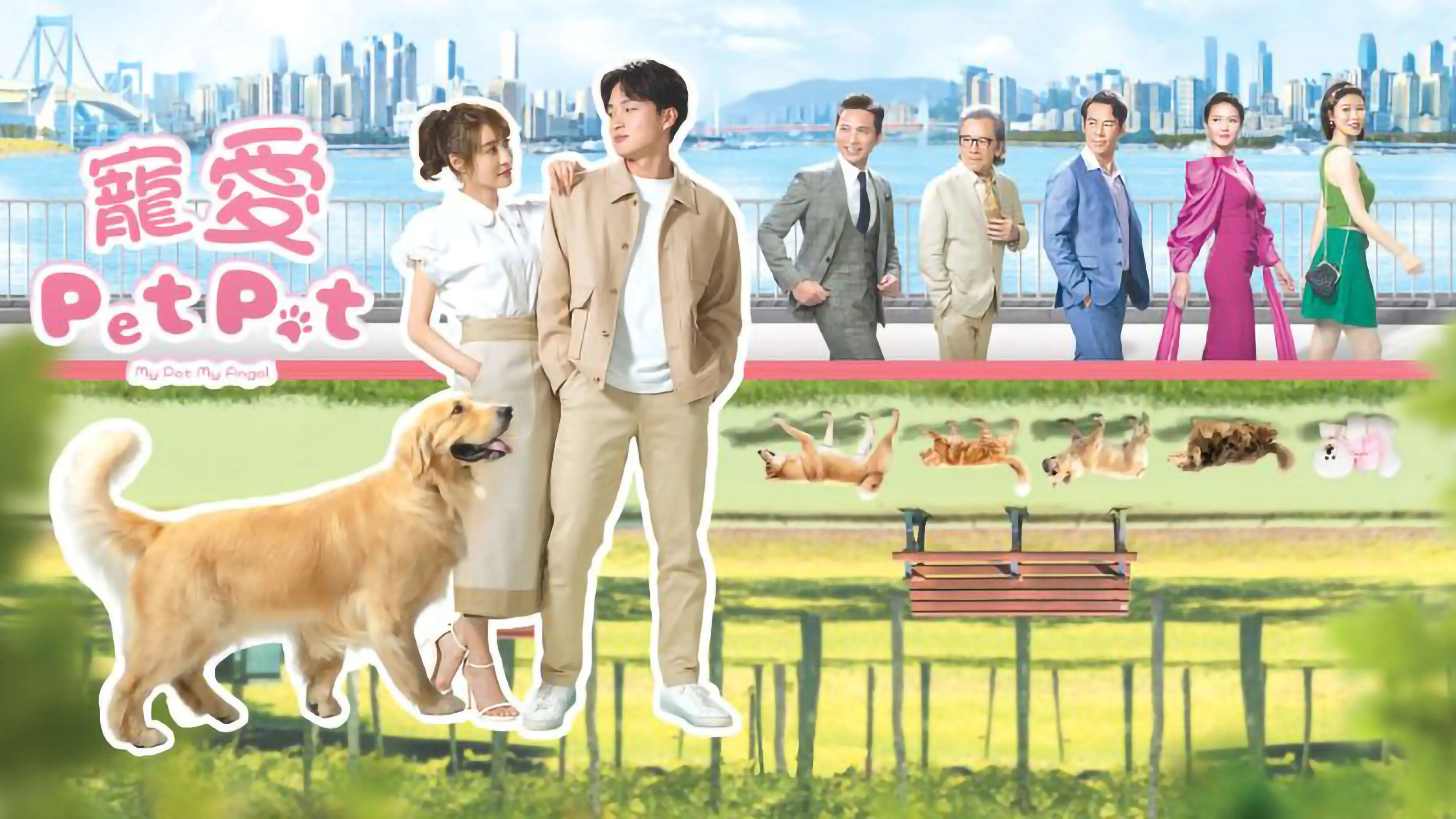 My Pet My Angel backdrop