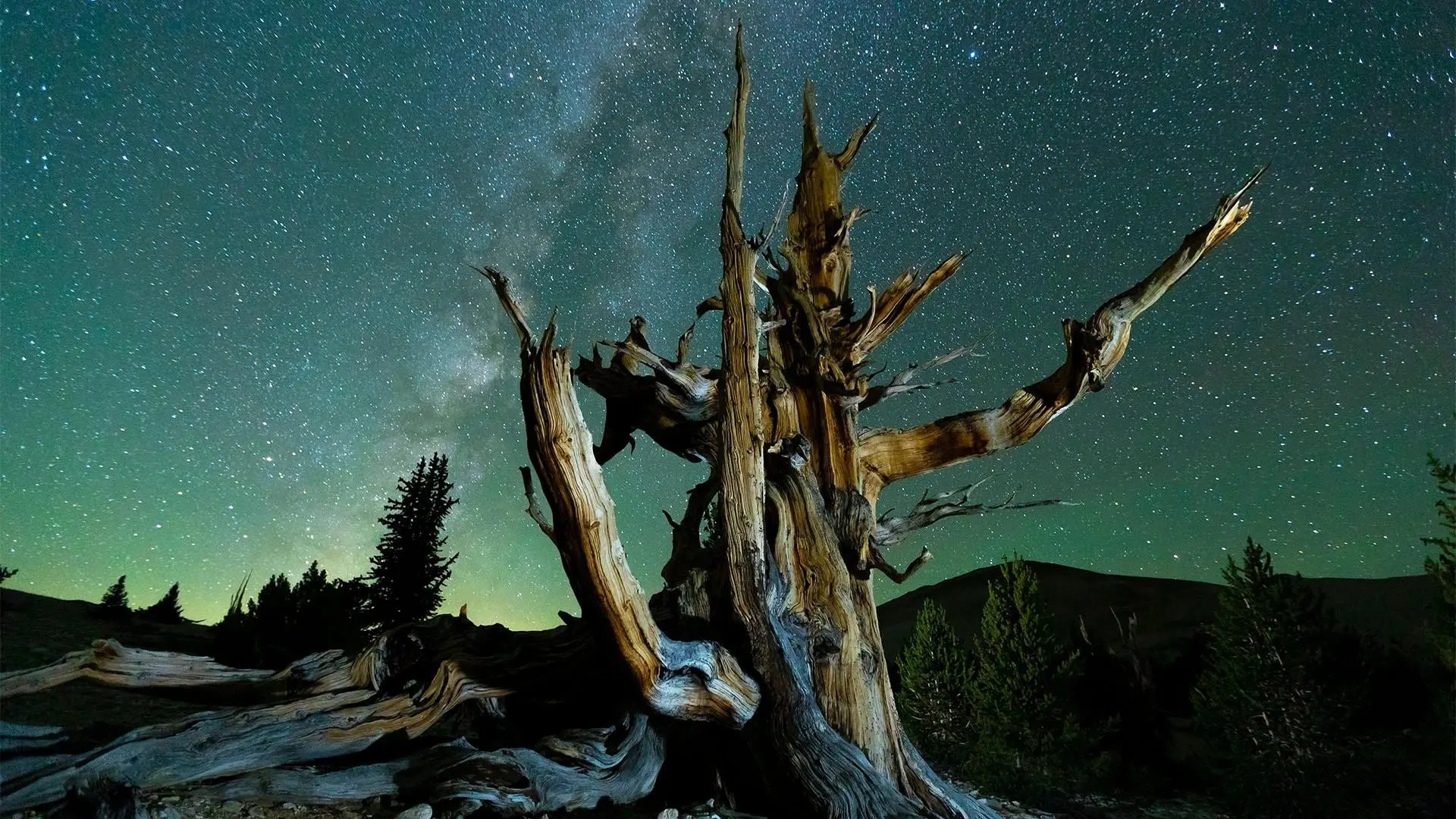 Planet California backdrop