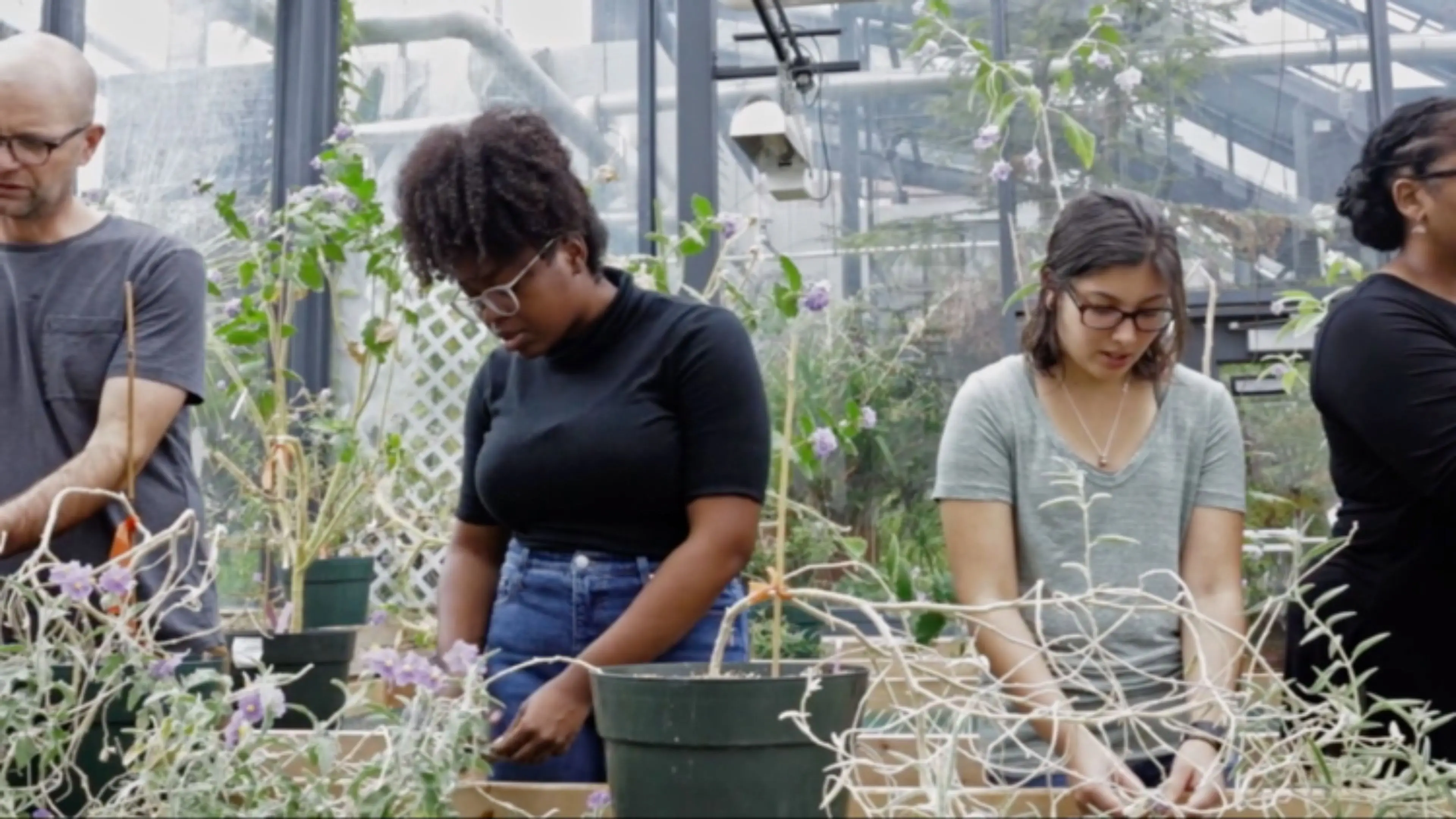 There are things in this world that are yet to be named backdrop