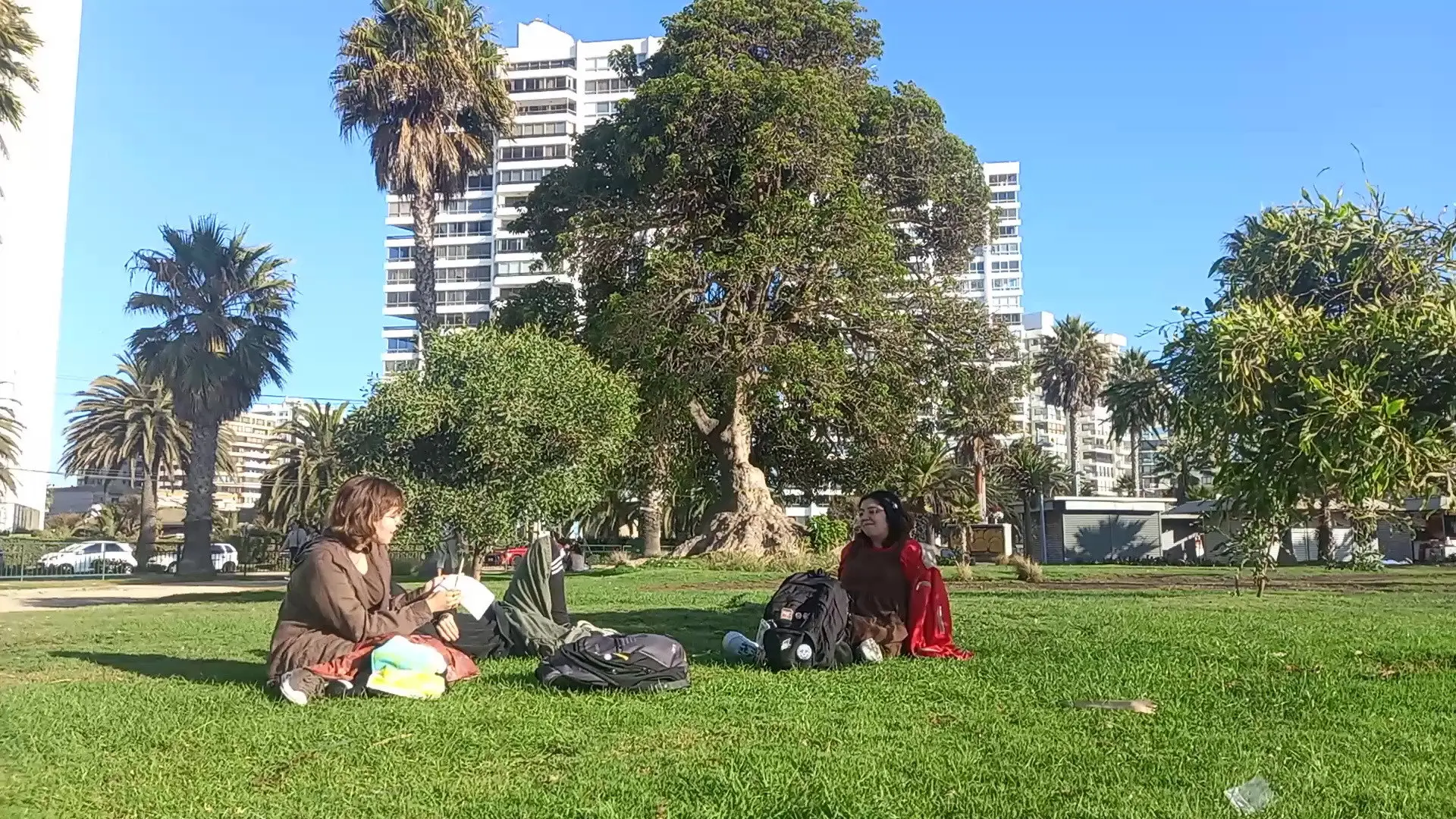 What a Hive, Man! backdrop
