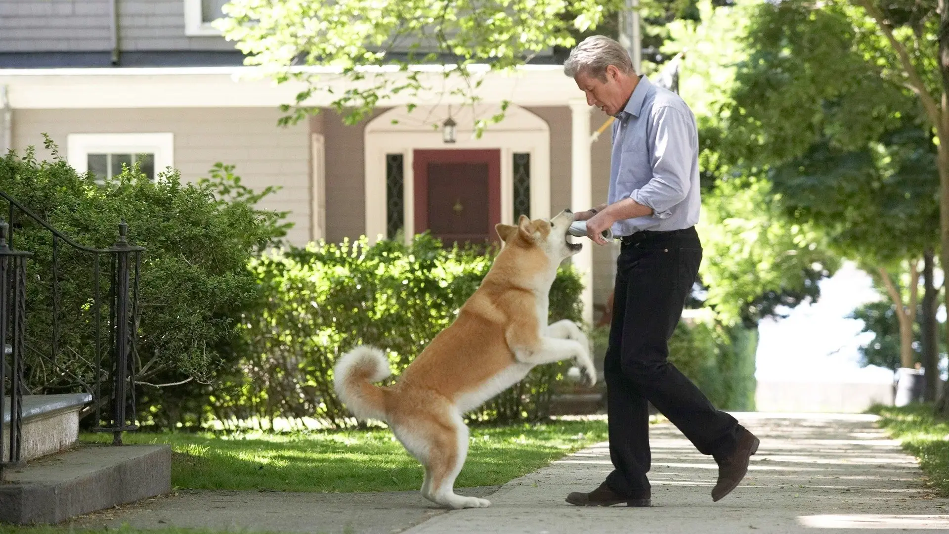 Hachi: A Dog's Tale backdrop