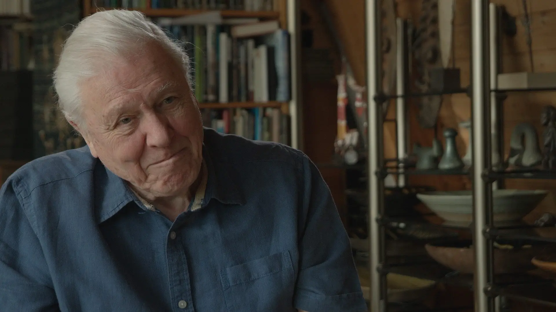 Zoo Quest in Colour backdrop