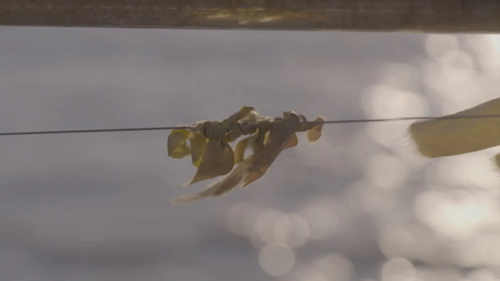 Three Sides to Every Story backdrop