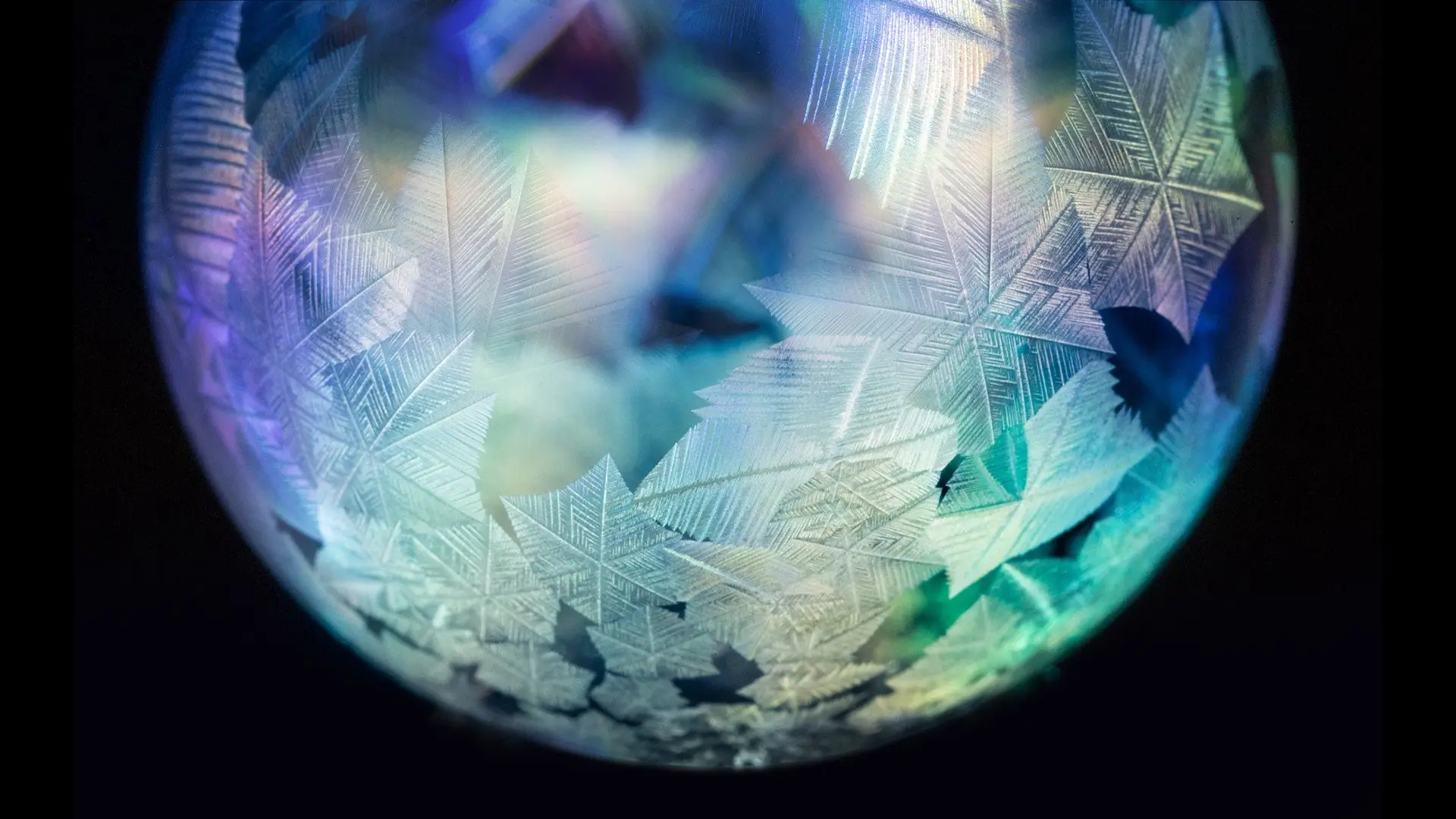 Forces of Nature with Brian Cox backdrop