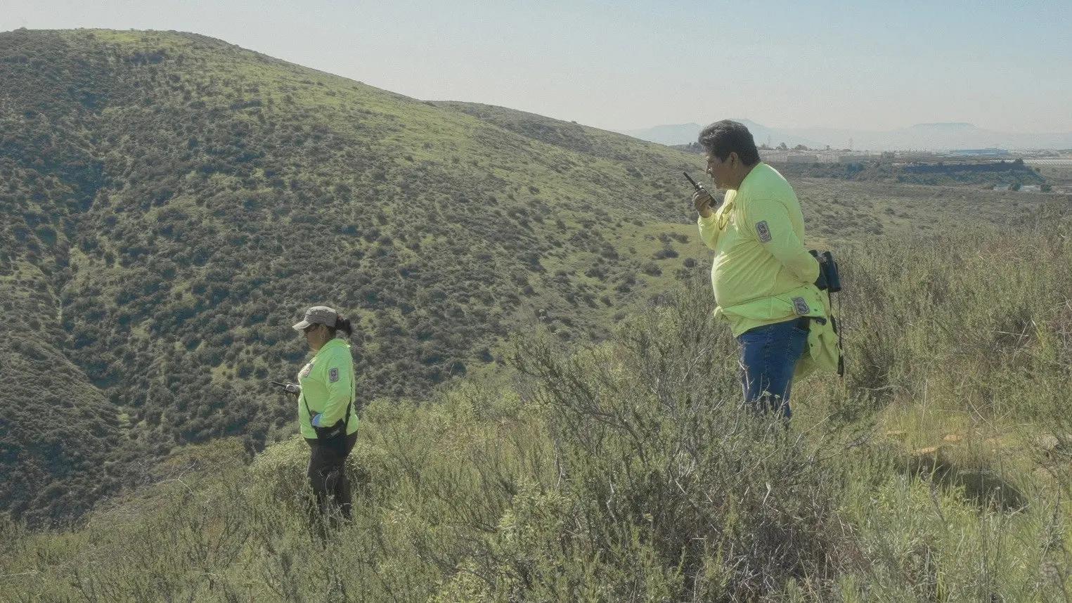 Spare My Bones, Coyote! backdrop