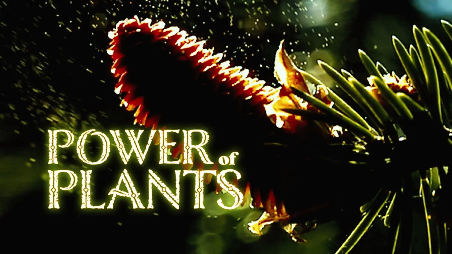 Power Of Plants backdrop