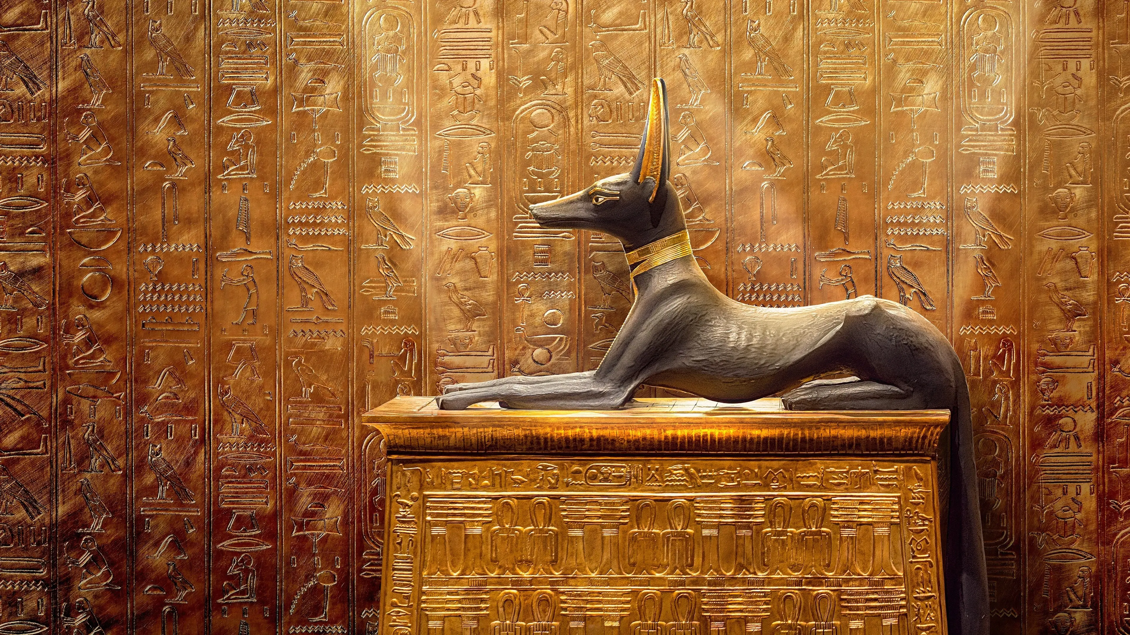 King Tut: A Century of Secrets backdrop