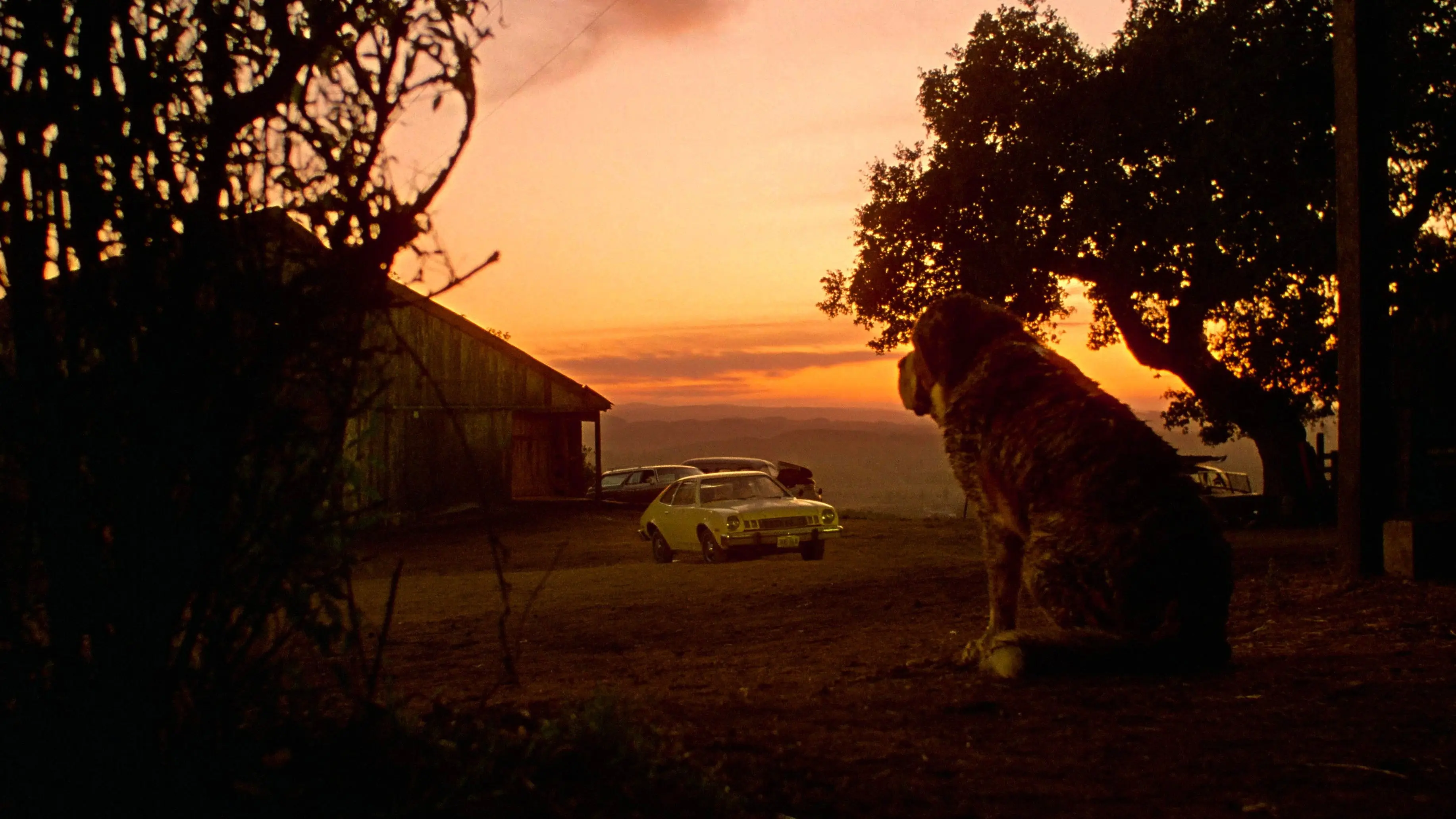 Cujo backdrop