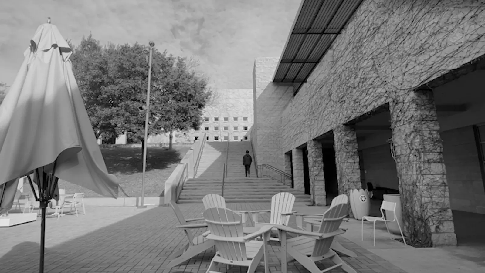 Schoolhood, The Past References of an Unforeseeable Future backdrop