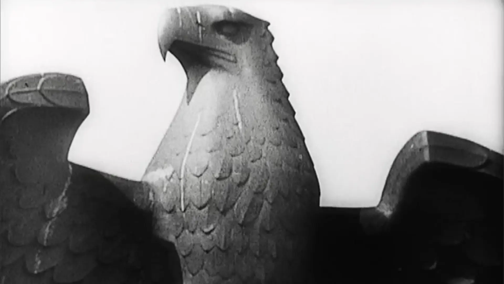 In the Land of Eagles and Crosses backdrop