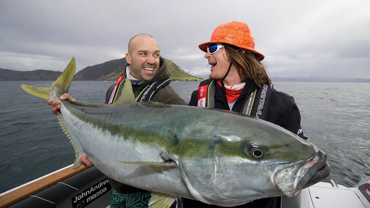 Big Angry Fish backdrop
