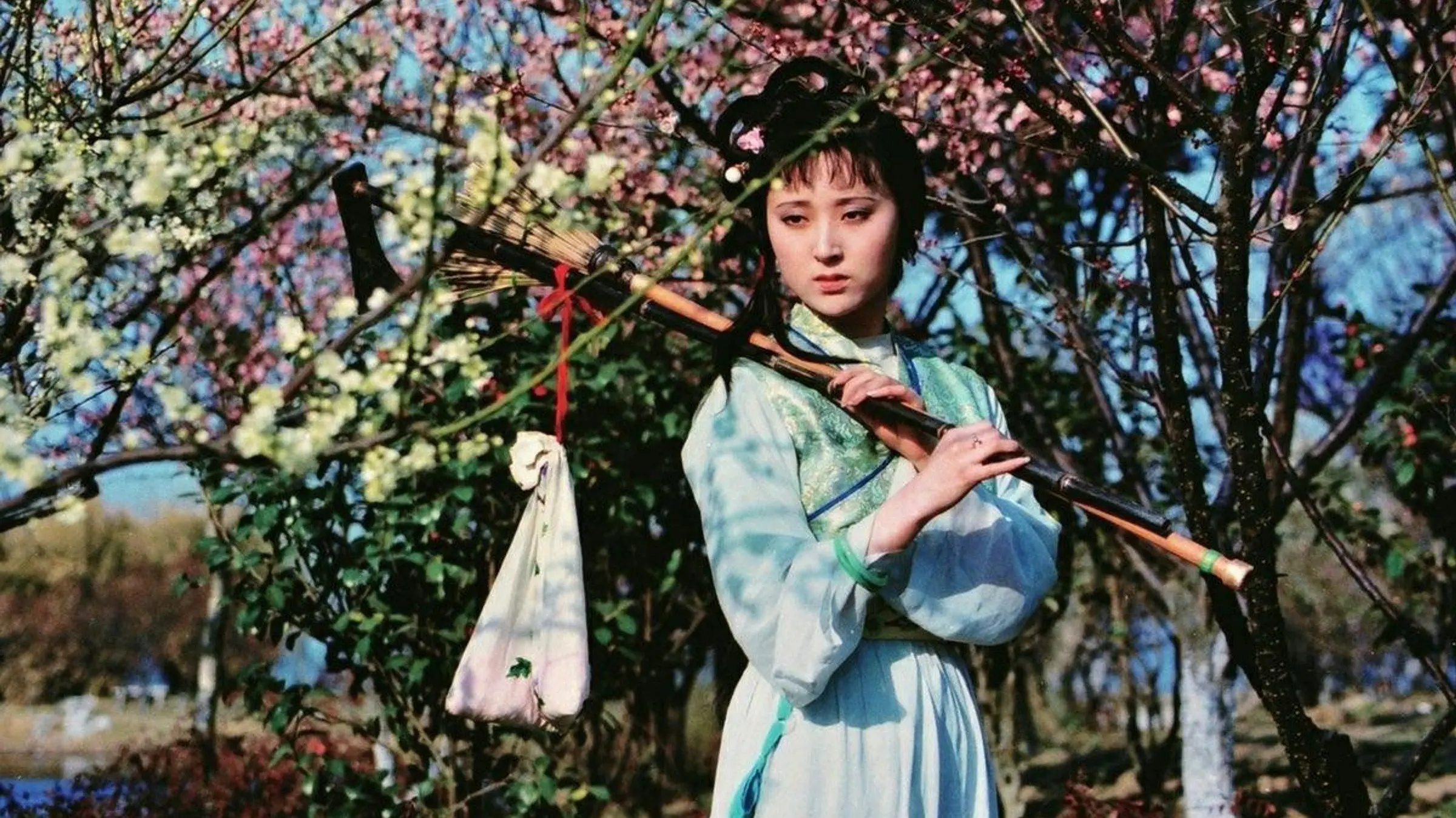 Dream in Red Mansions backdrop