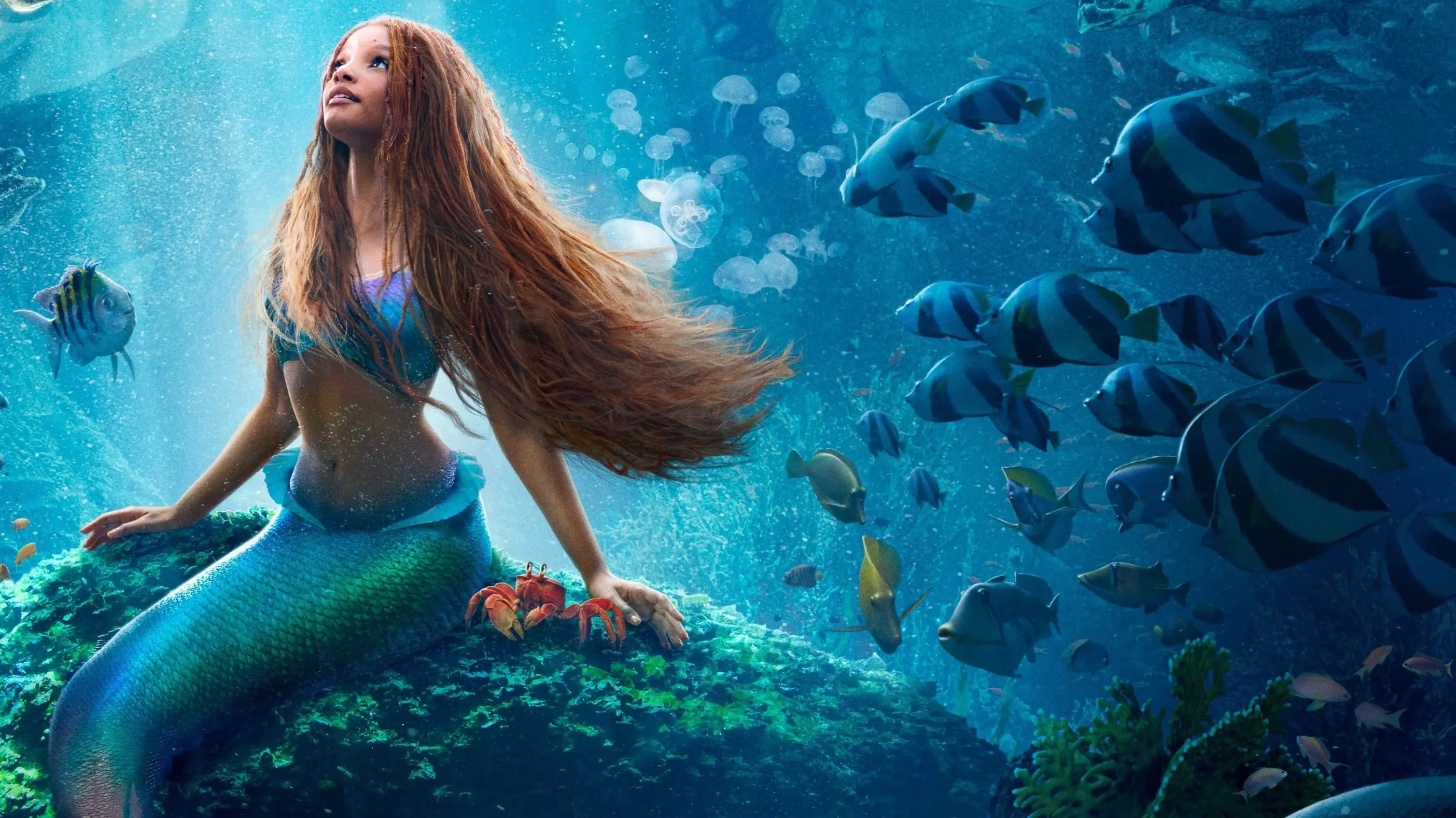 The Little Mermaid backdrop