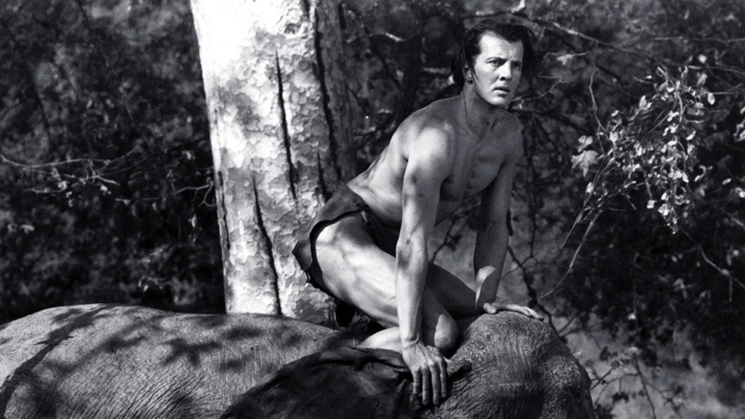 Tarzan and the Green Goddess backdrop