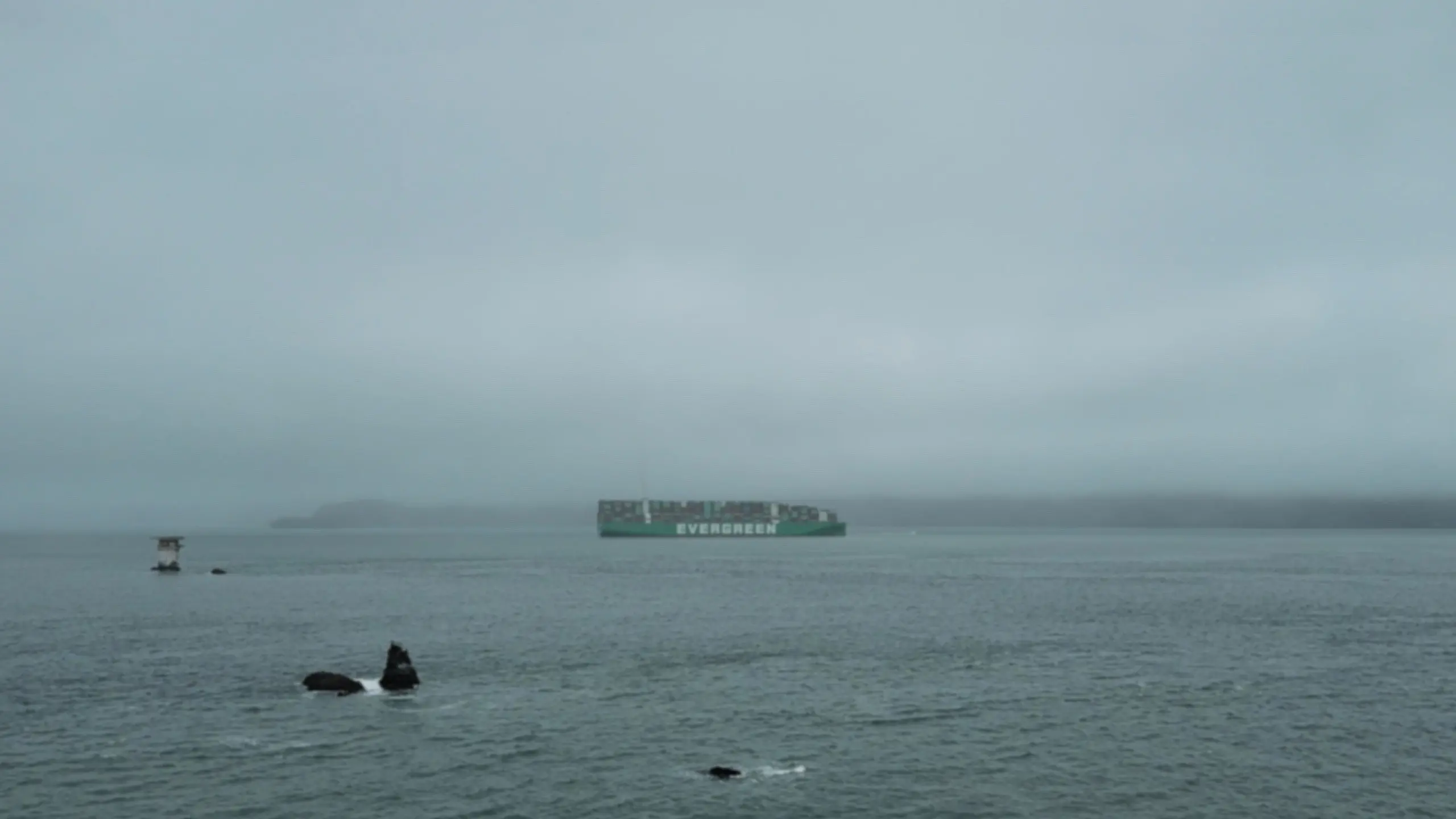 Milestone No. 3 backdrop