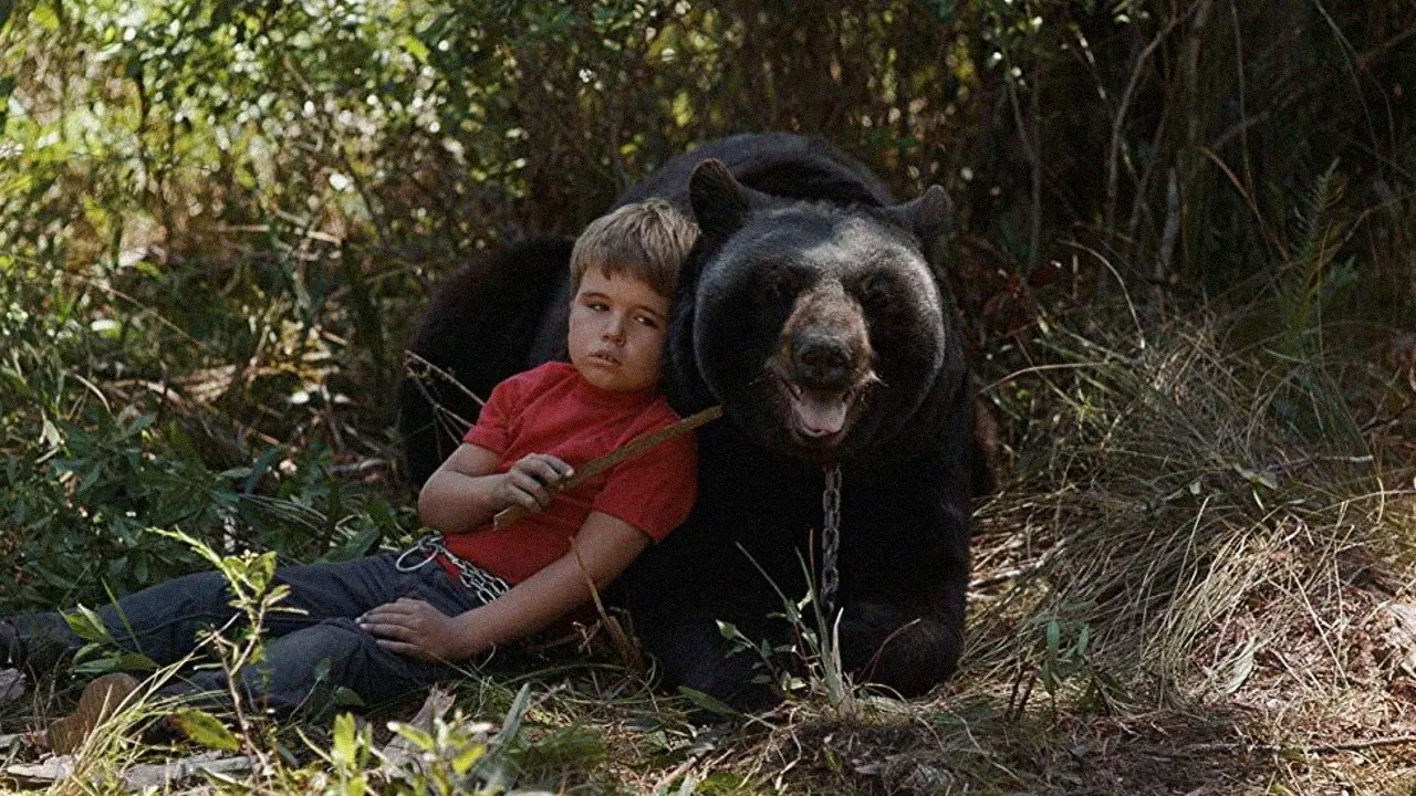 Gentle Ben backdrop