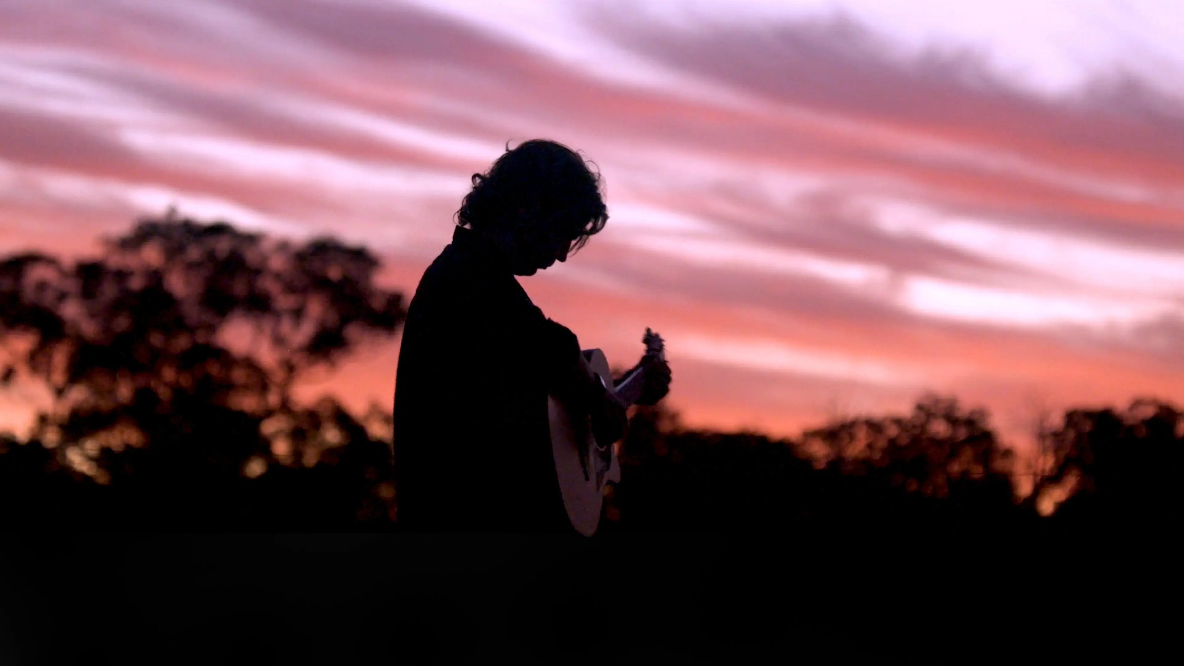 Collect Your Roadkill backdrop