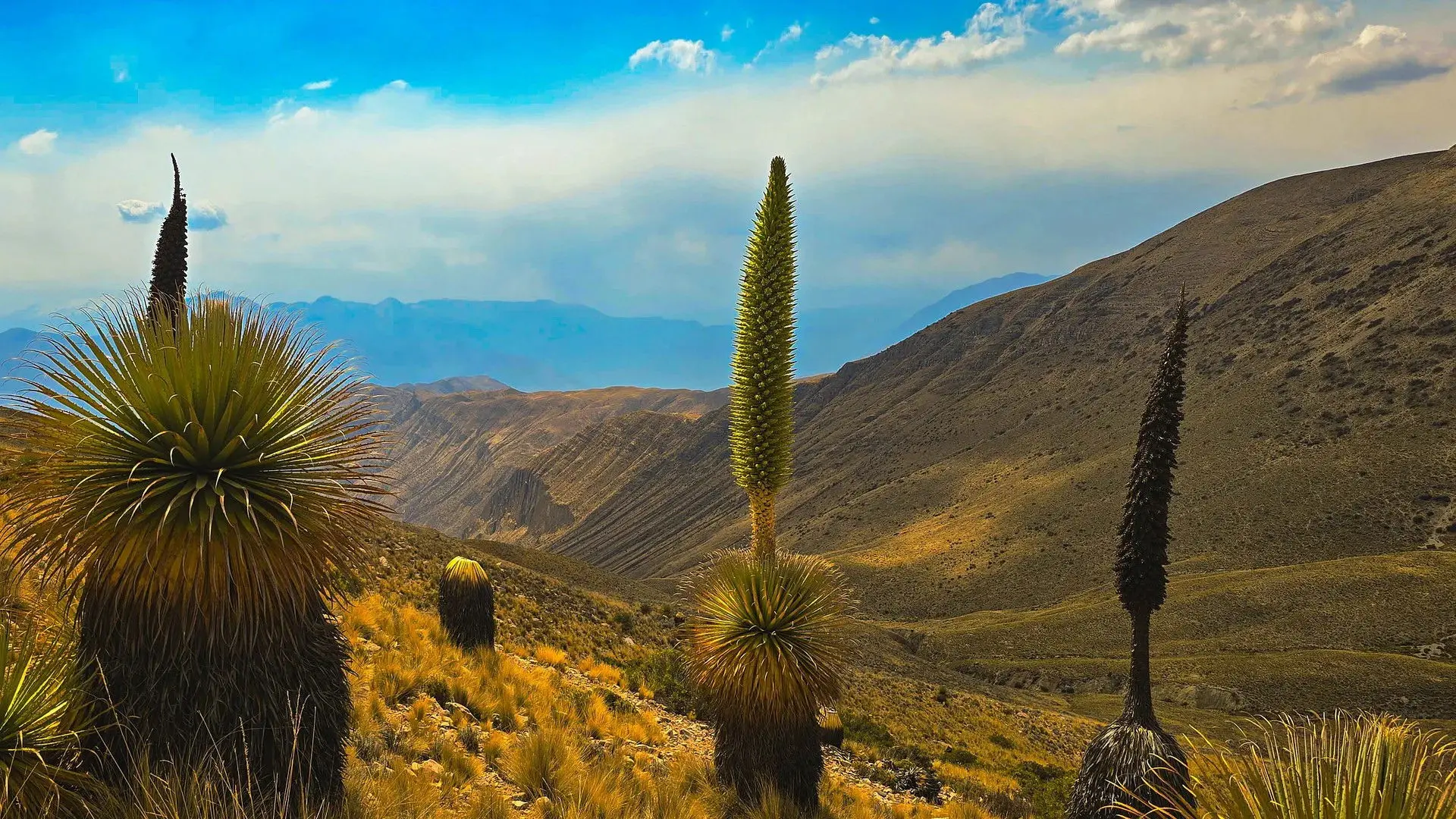 Oasen: Inseln des Lebens backdrop