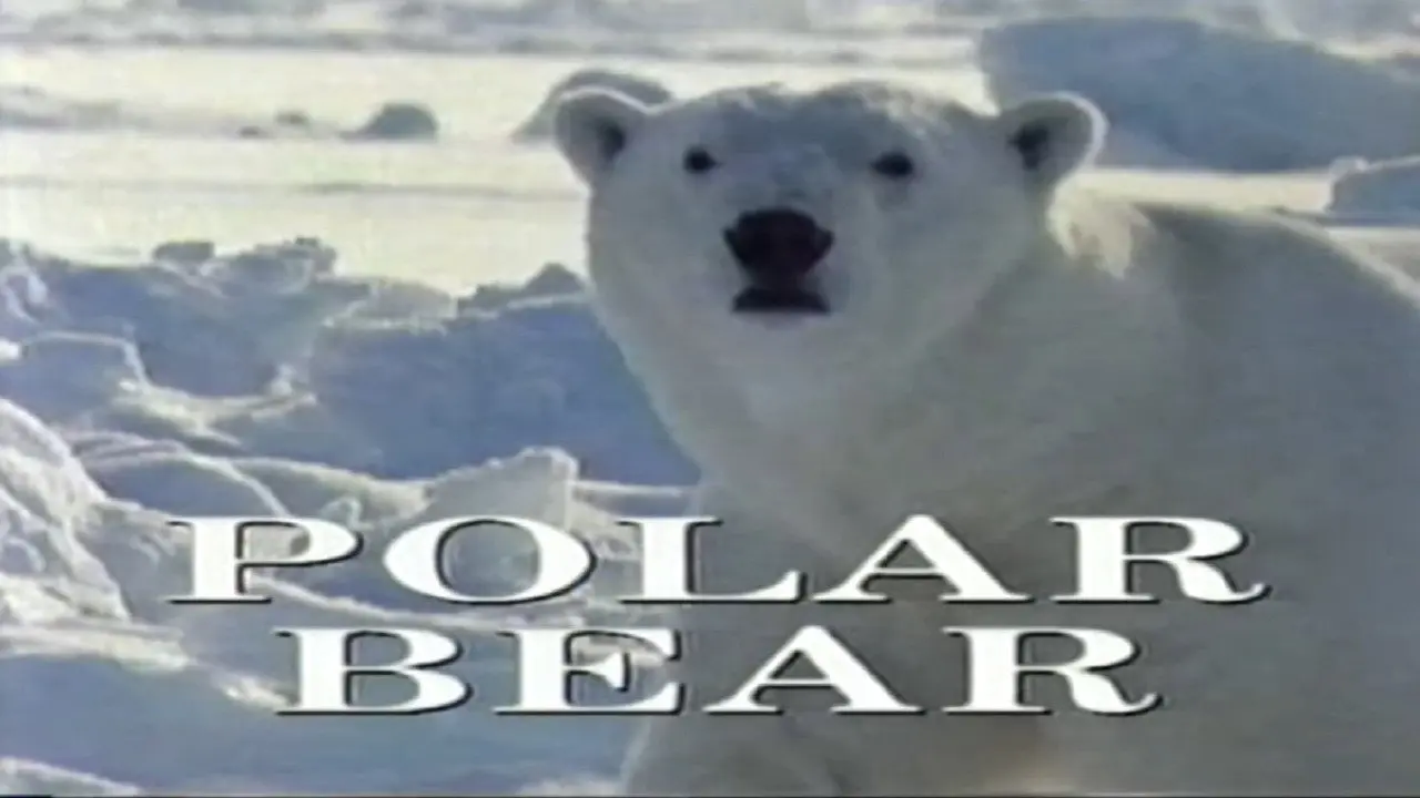 Predators of the Wild: Polar Bear backdrop